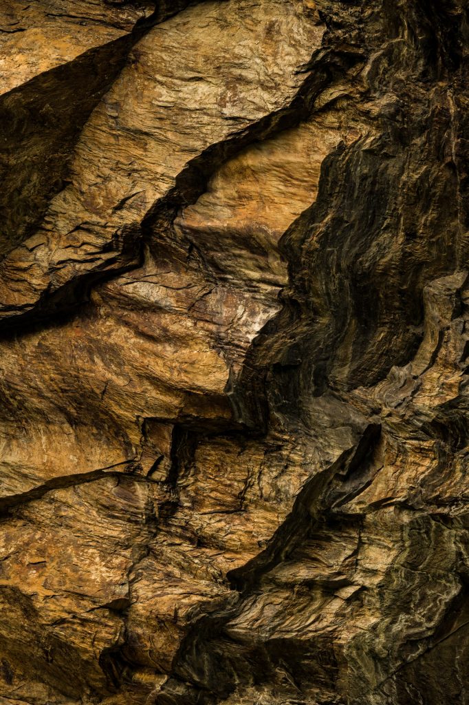 Natürliche, strukturierte rindenschicht, detailaufnahme von holzoberfläche, rustikale textur, fokussierte naturaufnahme, kunstvolle holzstruktur für kunst, design, optik und nachhaltigkeit.