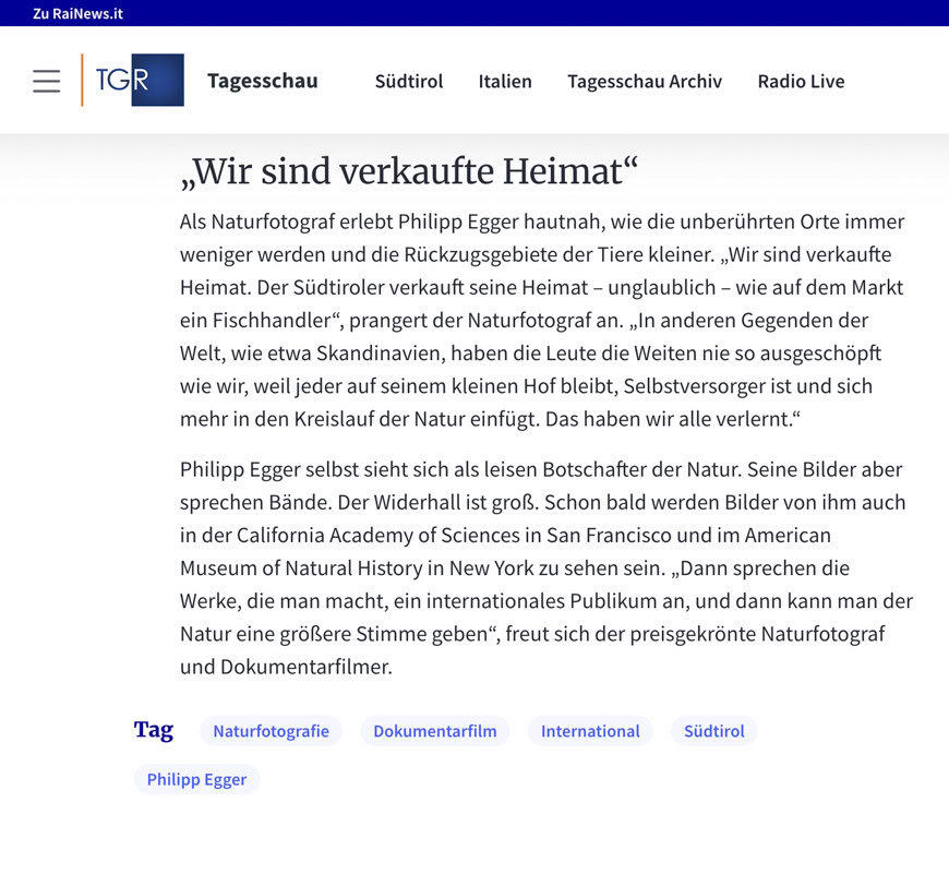 Sieht wie ein Portraitfoto eines Mannes aus, der mit Natur und Fotografie verbunden ist.