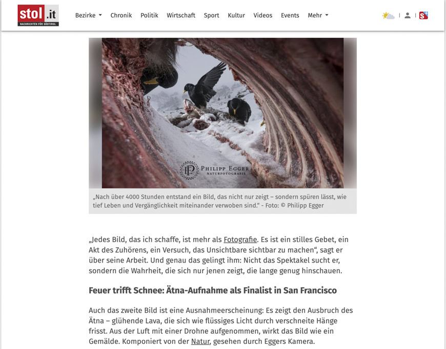 1. Schneeleopard, Vögel und Naturfotografie von Philipp Egger in den Bergen, beeindruckendes Tierbild, Naturschönheit, Wildlife Fotografie im hohen Norden, Umweltfotograf.