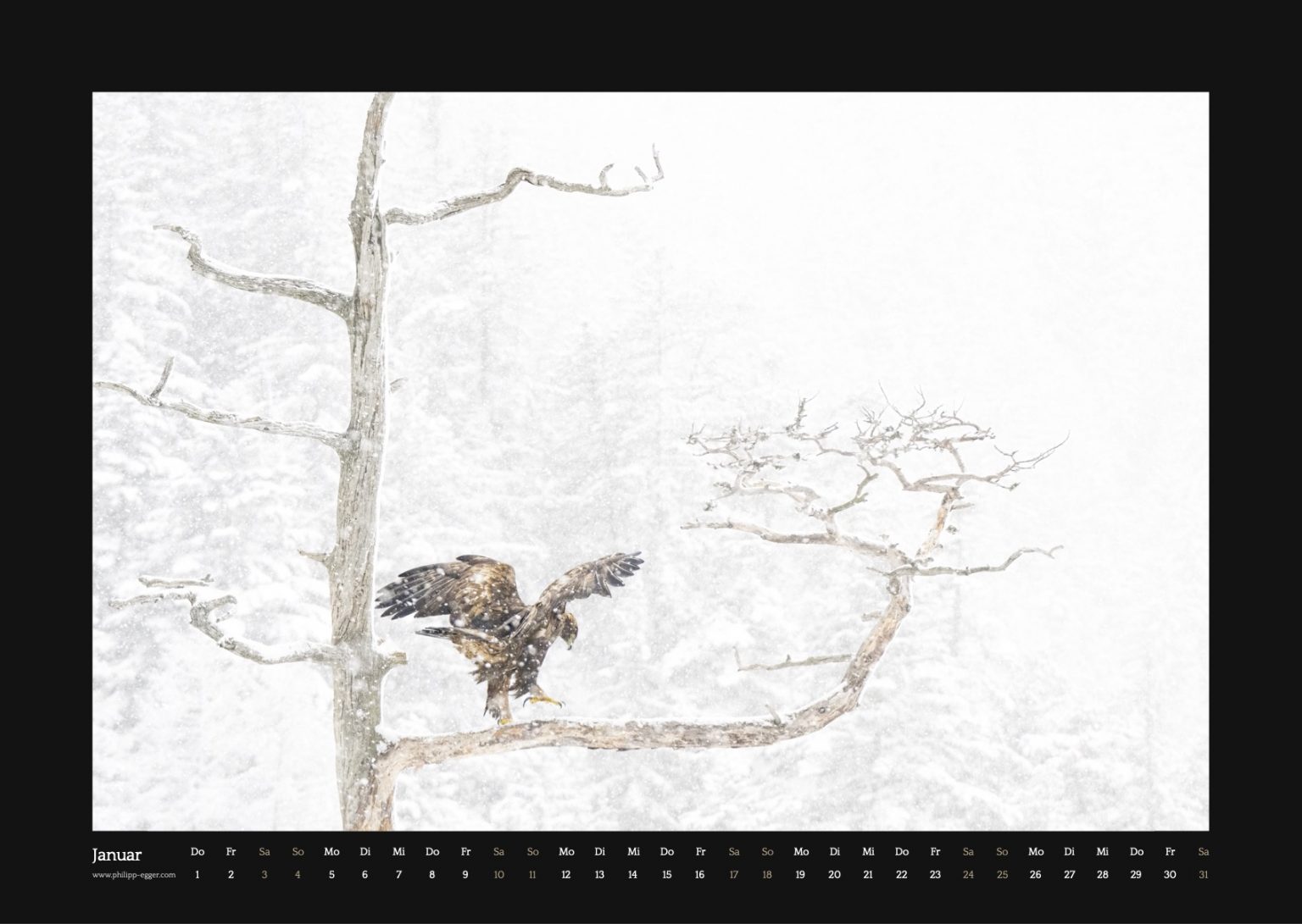 Vogel im Schnee auf einem kahlen Baum im Winter, Winterlandschaft, Naturlandschaft, Tierfotografie, winterliche Tierbeobachtung.