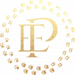 Philipp Egger Portfolio