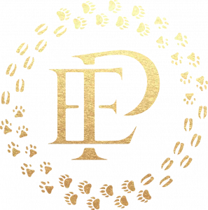 Leistungsstarkes Logo mit goldenen Buchstaben und glitzernden Details, geeignet für hochwertige Marken- und Unternehmenspräsentationen.