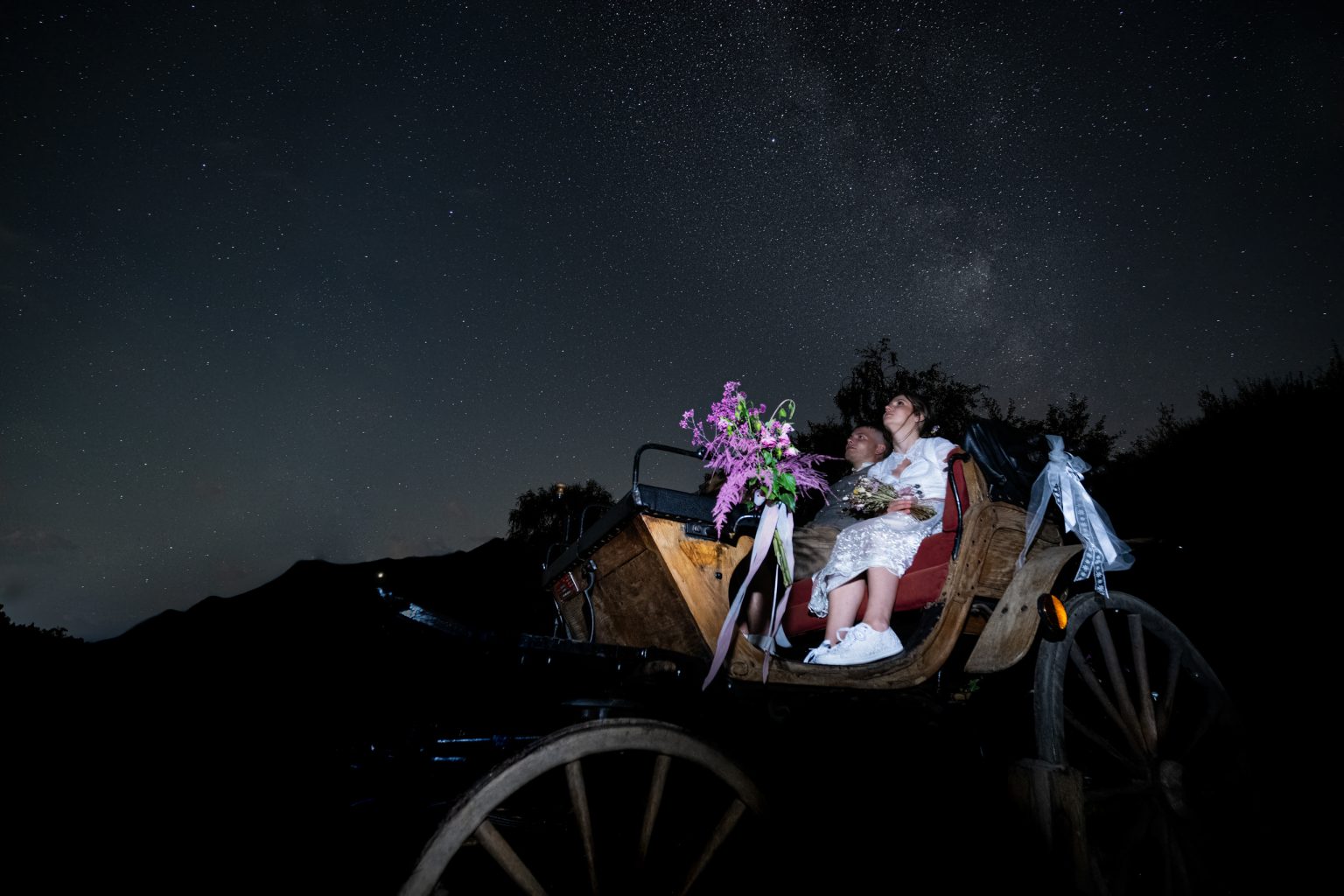 Augenblicke unter Sternenhimmel mit Brautpaar auf Kutsche, romantische Hochzeitsinspiration, nächtliche Landschaft, magische Atmosphäre, Feier der Liebe und Natur, perfekte Kulisse für unvergessliche Hochzeitsfotos.