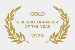 Goldmedaille für Vogelphotografie 2025 – Philipp Egger, preisgekrönter Natur- und Tierfotograf.